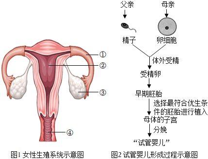 26度空调婴儿盖什么