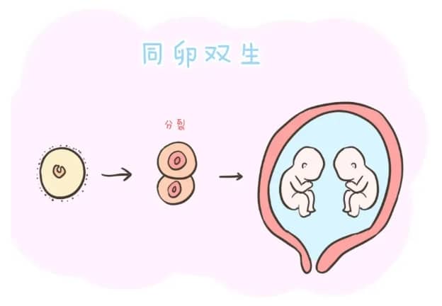怀孕图片大全卡通大肚子