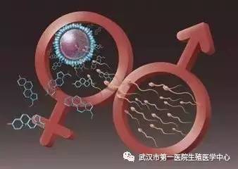 12333劳动仲裁