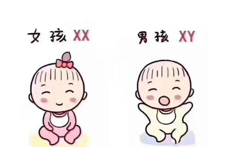 生男孩