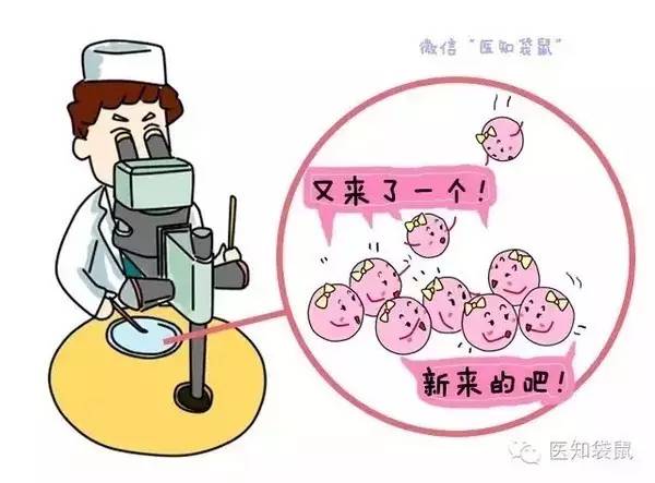 着床