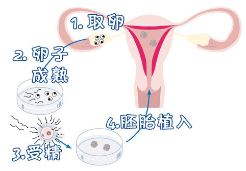 宝宝0到一岁育儿知识