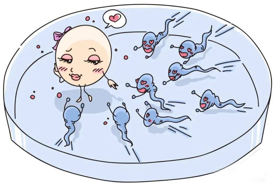 离婚立案