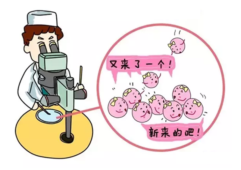 14岁