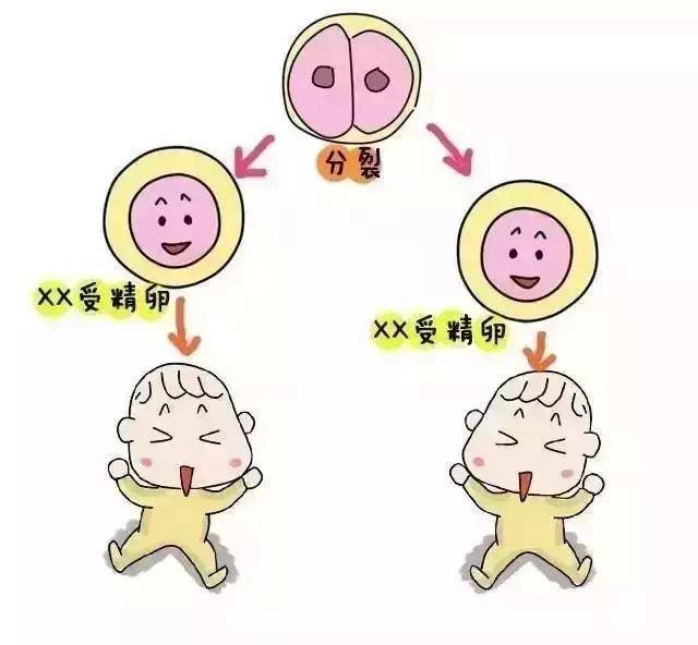 重庆试管婴儿