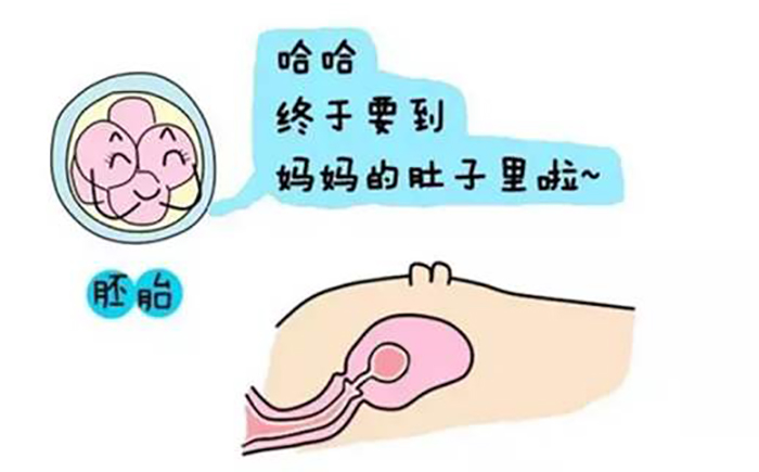 输卵管堵塞